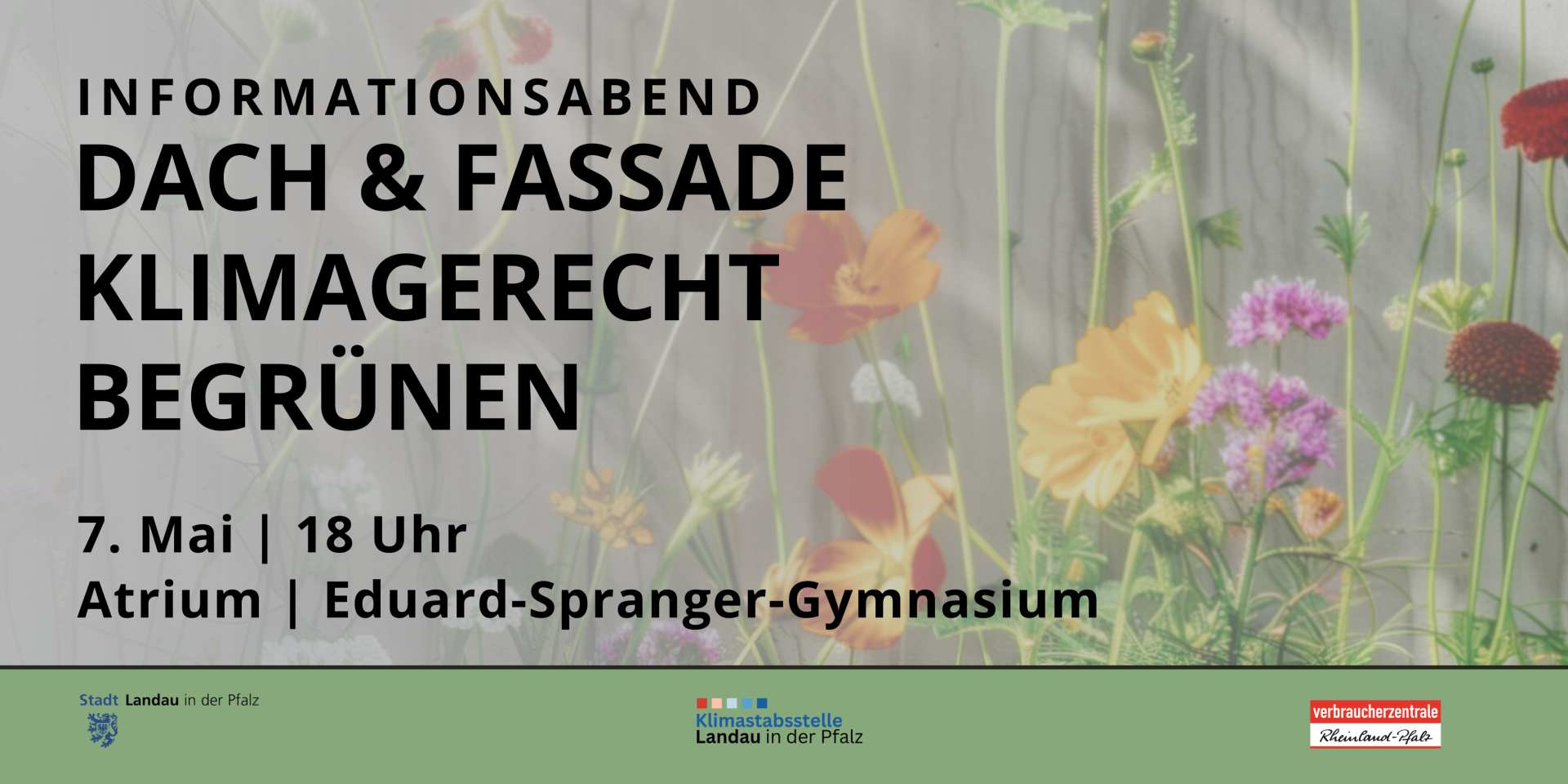 20250507-Grün statt Grau - 3 20250507-Grün statt Grau - 3