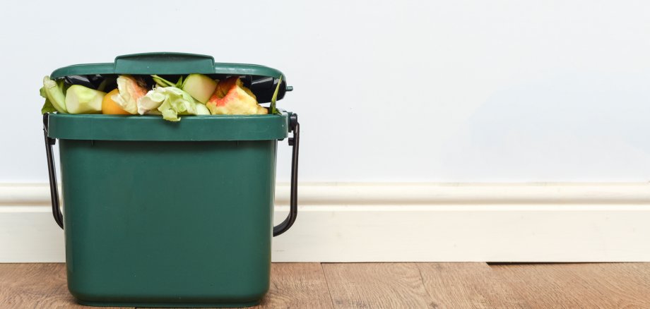 Food waste from domestic kitchen Responsible disposal of household food wastage in an environmentally friendly way by recycling in compost bin at home