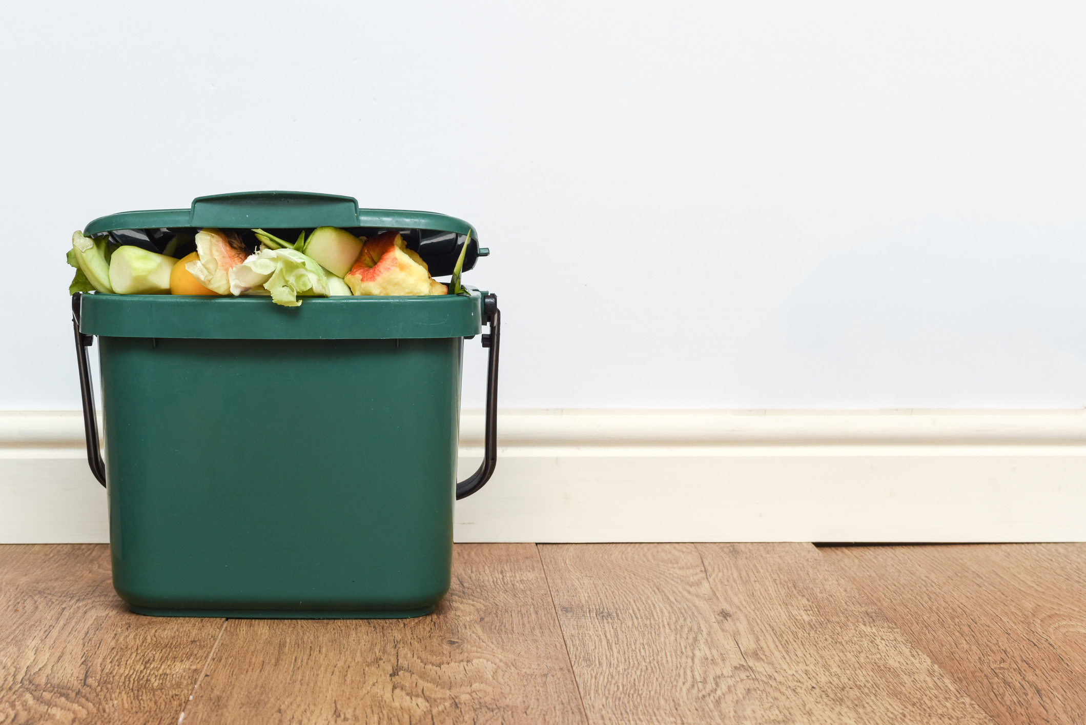Food waste from domestic kitchen Responsible disposal of household food wastage in an environmentally friendly way by recycling in compost bin at home Food waste from domestic kitchen Responsible disposal of household food wastage in an environmentally friendly way by recycling in compost bin at home