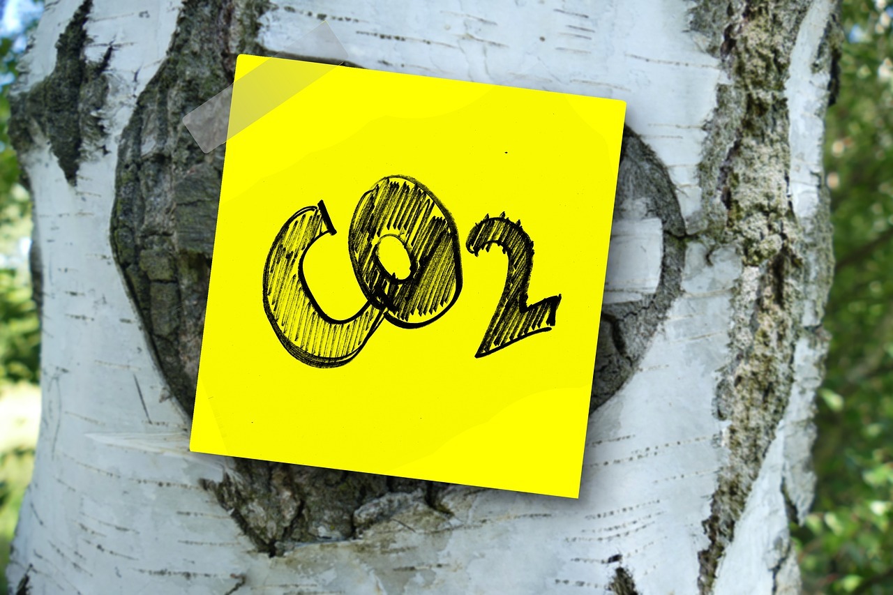 Zettel an Baum mit der Aufschrift CO2