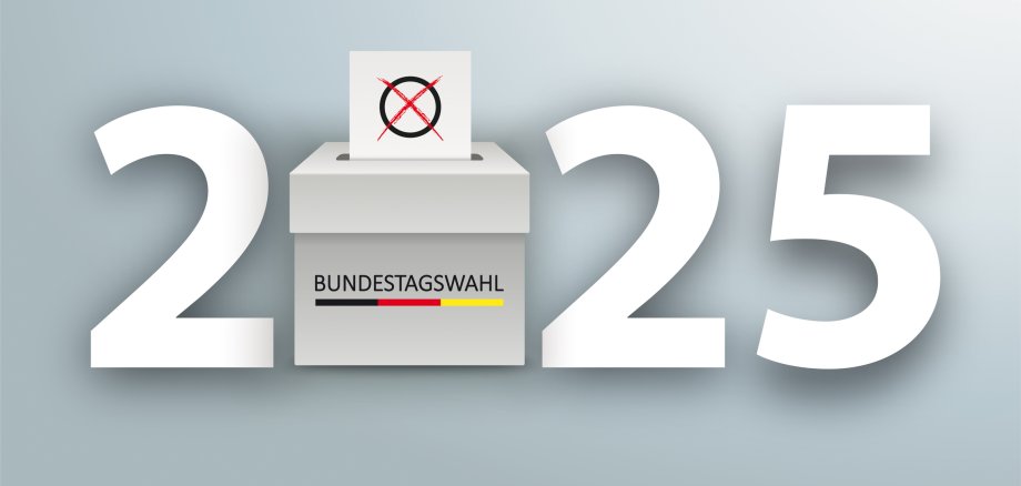 German Text Bundestagswahl 2025, translate parliamentary elections for the Bundestag 2025.  Eps 10 vector file.