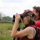 Vogelbeobachtung an der Unteren Havel